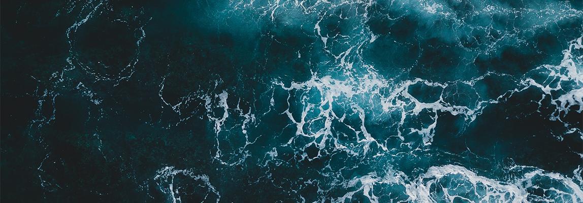 Combining ecosystem modelling with serious gaming